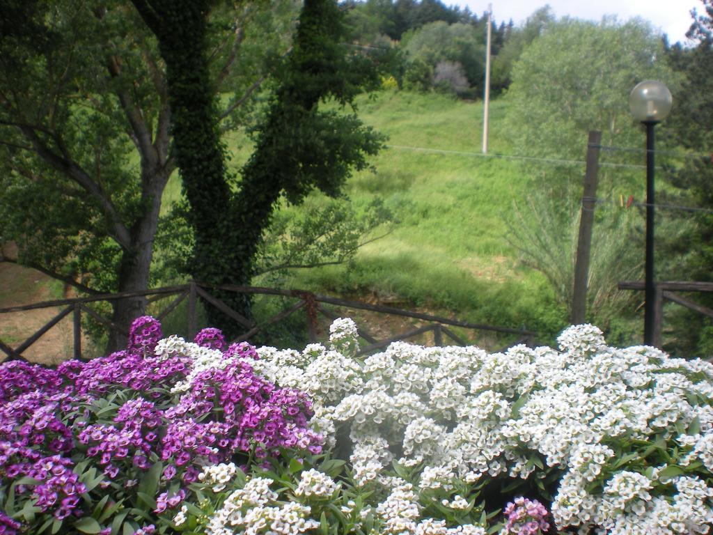 Agriturismo La Baroncella Montemerano Pokoj fotografie